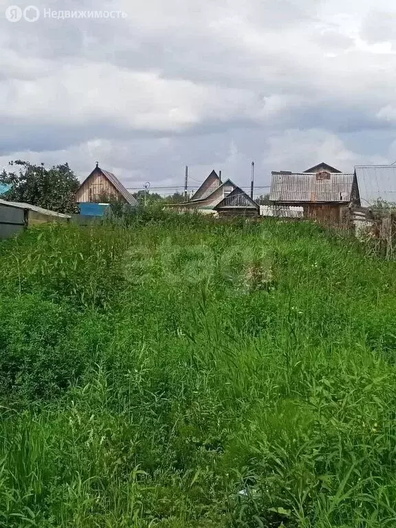 Участок в Тюмень, садовое товарищество Степное, Цветочная улица (4 м) - Фото 1