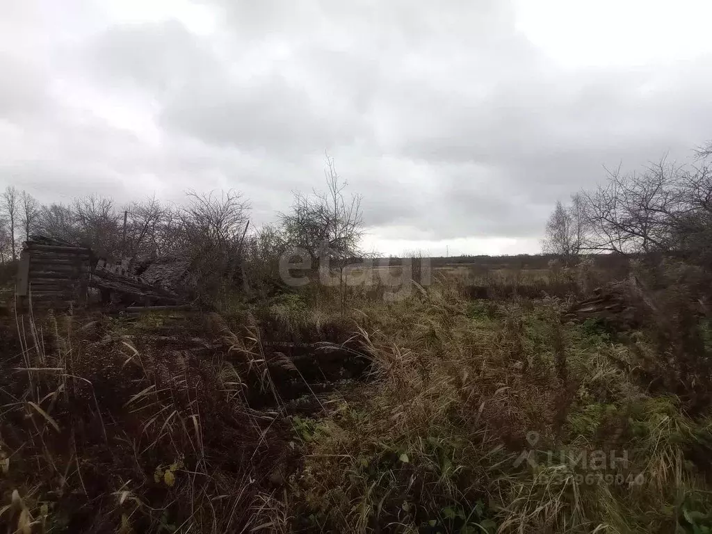 Дом в Псковская область, Островская волость, д. Карпово ул. ... - Фото 2