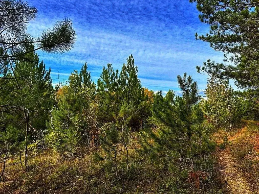 Участок в Крым, Бахчисарайский район, Куйбышевское с/пос, с. ... - Фото 1