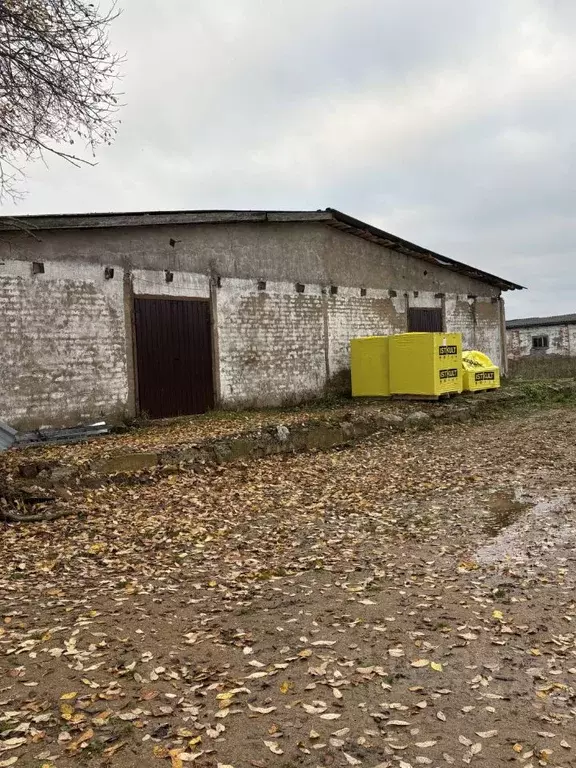 Производственное помещение в Московская область, Рузский муниципальный ... - Фото 1