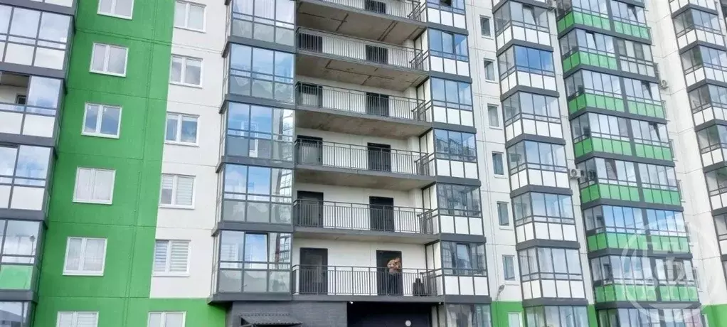 Студия Ленинградская область, Ломоносовский район, Виллозское ... - Фото 1