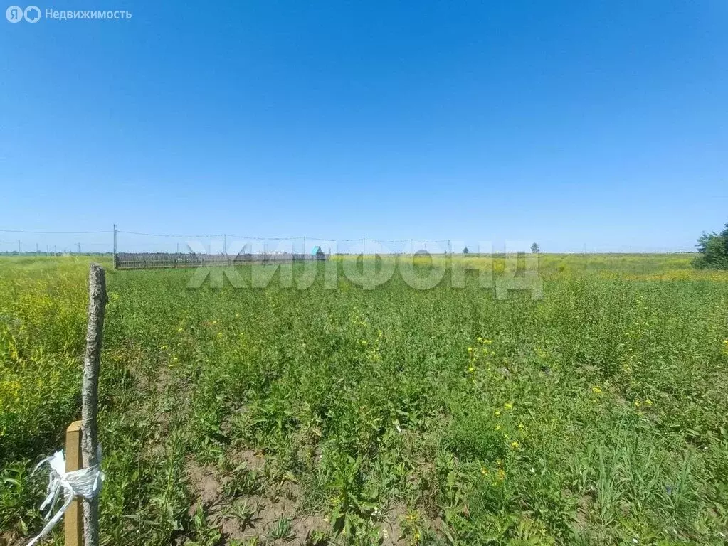 Участок в Колыванский район, СНТ Большая Семья (10 м) - Фото 0
