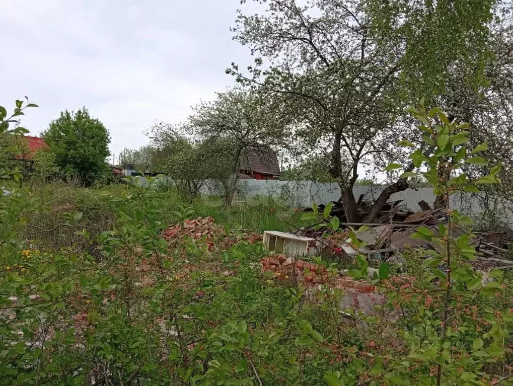 Участок в Курская область, Курск Курск СНТ, 459А (5.0 сот.) - Фото 1