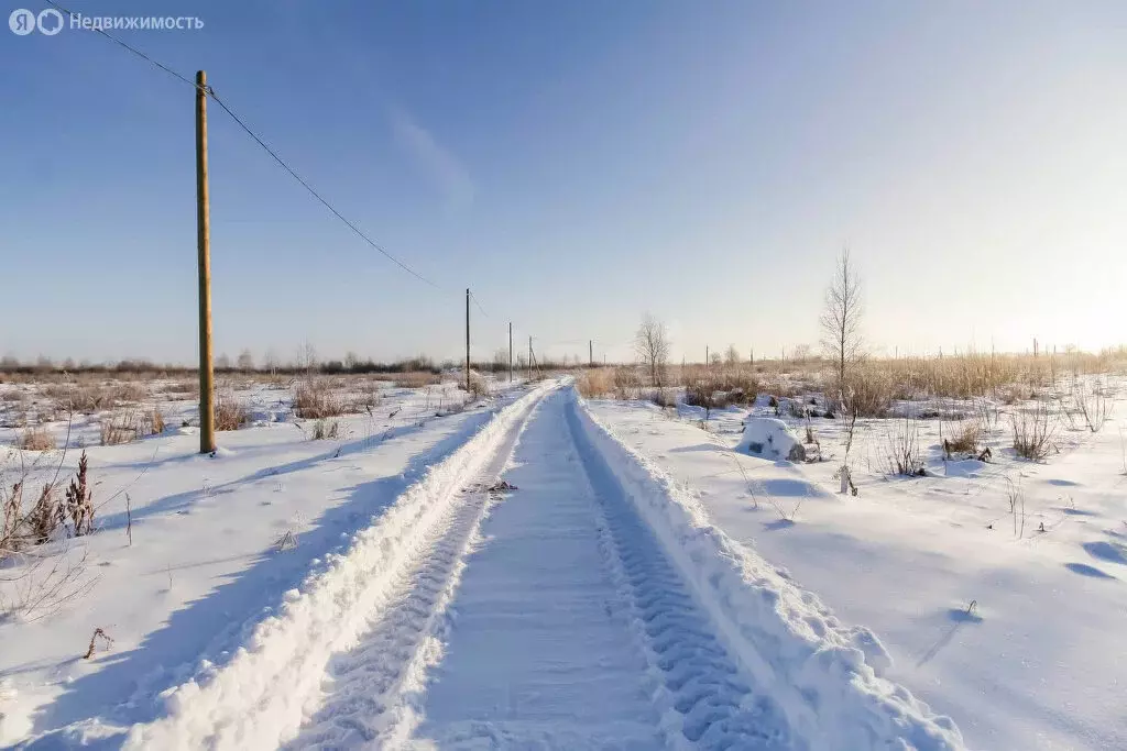 Участок в Тюмень, садовое товарищество Яровское (14.2 м) - Фото 0