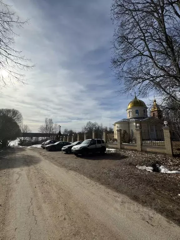 Участок в Ленинградская область, Гатчинский муниципальный округ, с. ... - Фото 2