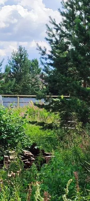 Участок в Челябинская область, Сосновский муниципальный округ, пос. ... - Фото 2