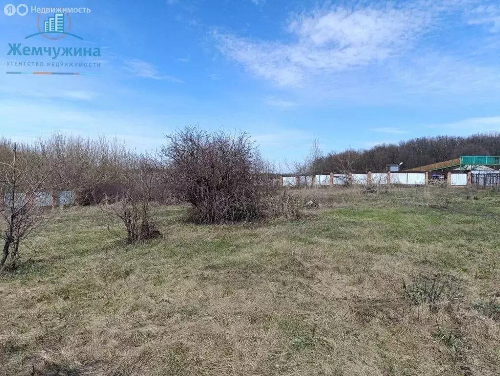 Участок в село Рязаново, Дачная улица (24 м) - Фото 1