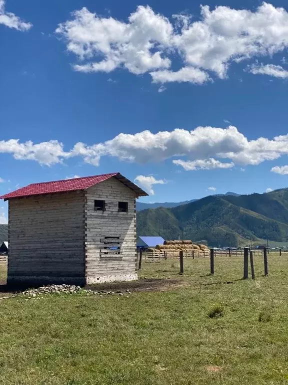 Участок в Алтай, Усть-Коксинский район, с. Верх-Уймон ул. Полевая ... - Фото 1