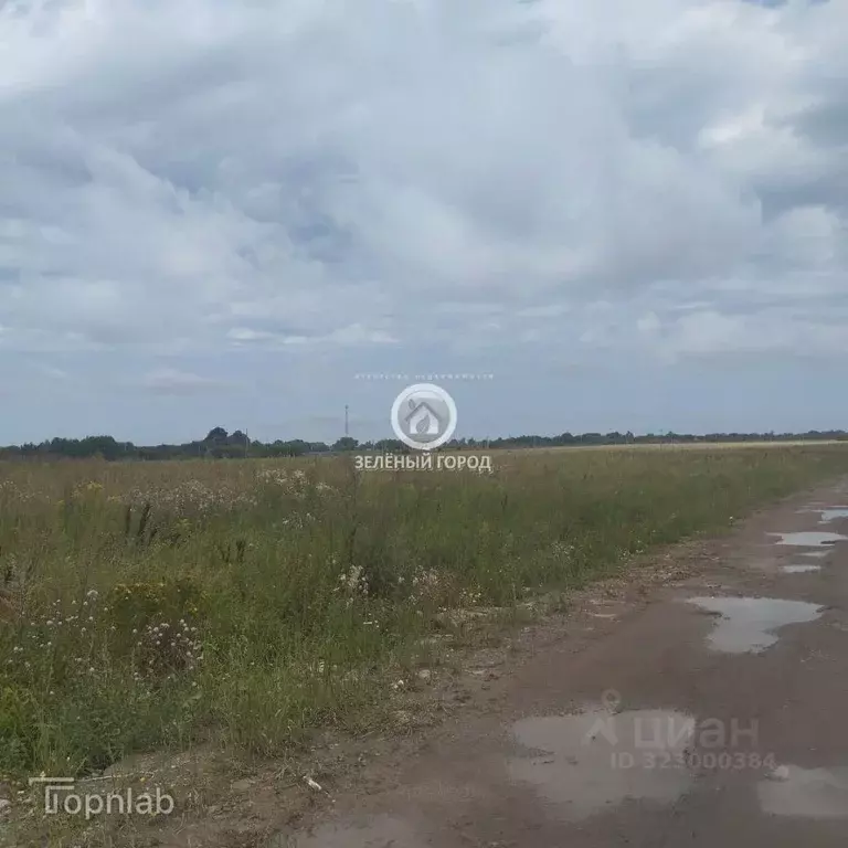 Участок в Калининградская область, Гурьевский муниципальный округ, ... - Фото 1