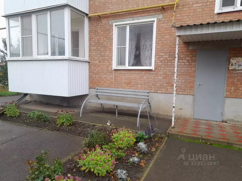 1-к кв. Ростовская область, Сальск ул. Халтурина, 17А (34.6 м) - Фото 1