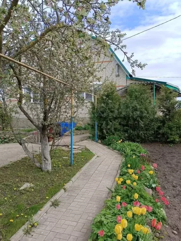 Дом в Новгородская область, Сольцы г. Солецкий муниципальный округ, ... - Фото 1