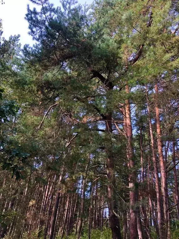 Дом в Калининградская область, Балтийск Гвардейский бул., 8А (35 м) - Фото 0