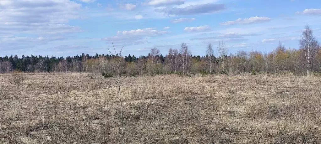 Участок в Московская область, Солнечногорск городской округ, д. Мостки ... - Фото 1
