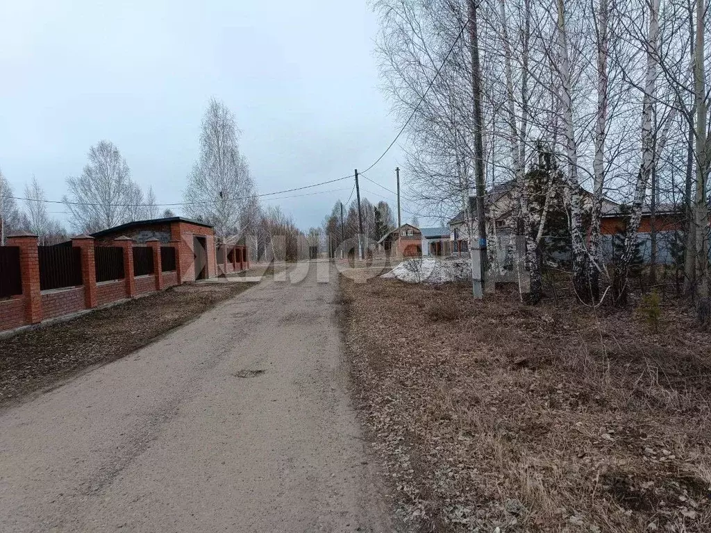 Участок в Томская область, Шегарское с/пос, с. Нащеково ул. ... - Фото 2