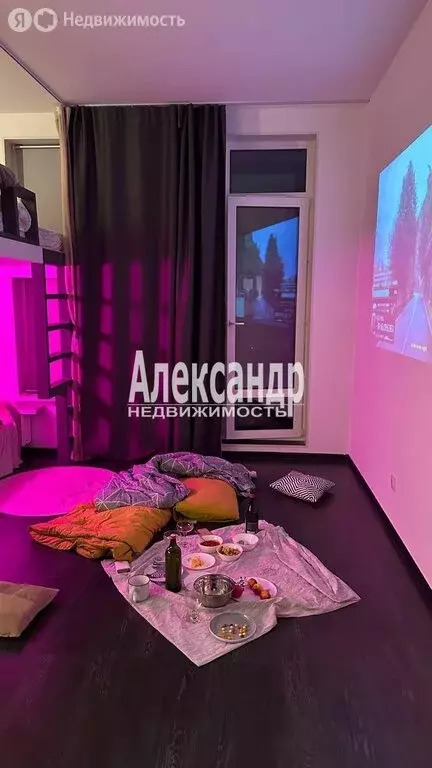 Квартира-студия: Санкт-Петербург, улица Владимира Пчелинцева, 6к2 ... - Фото 0
