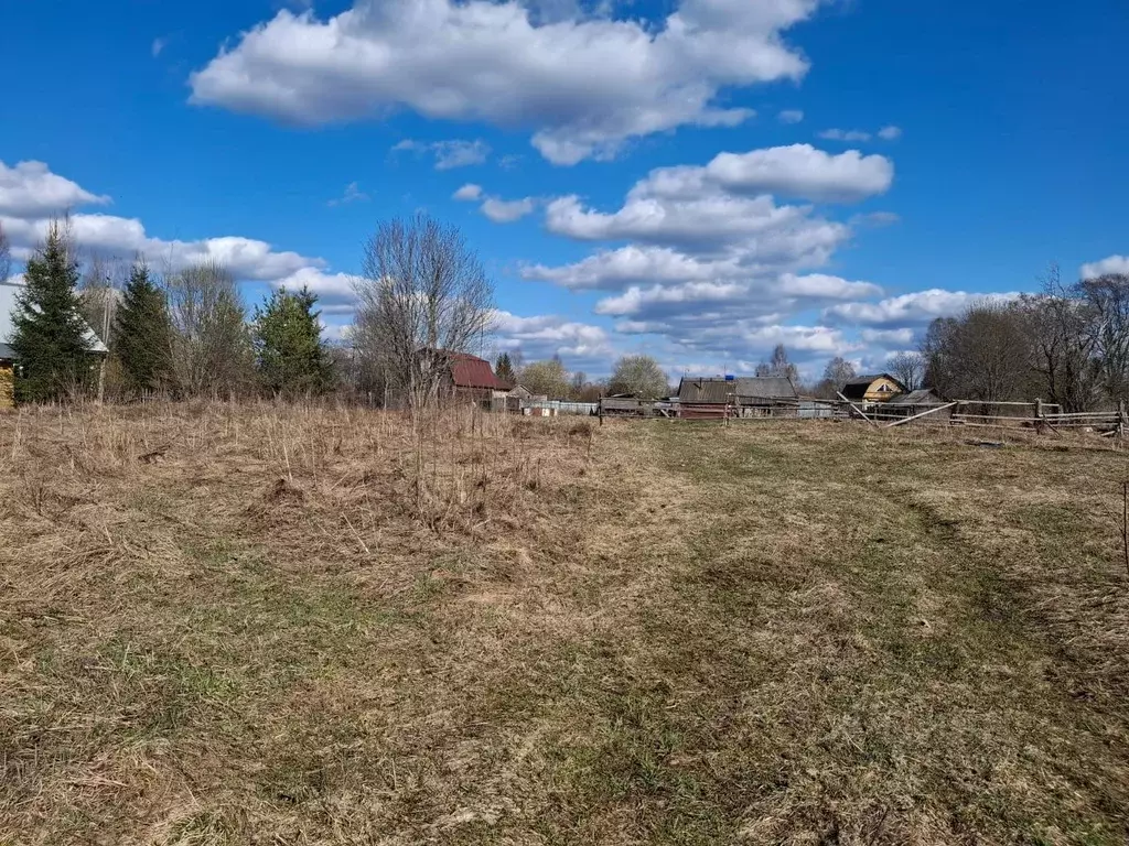 Участок в Новгородская область, Маловишерский район, Бургинское с/пос, ... - Фото 2