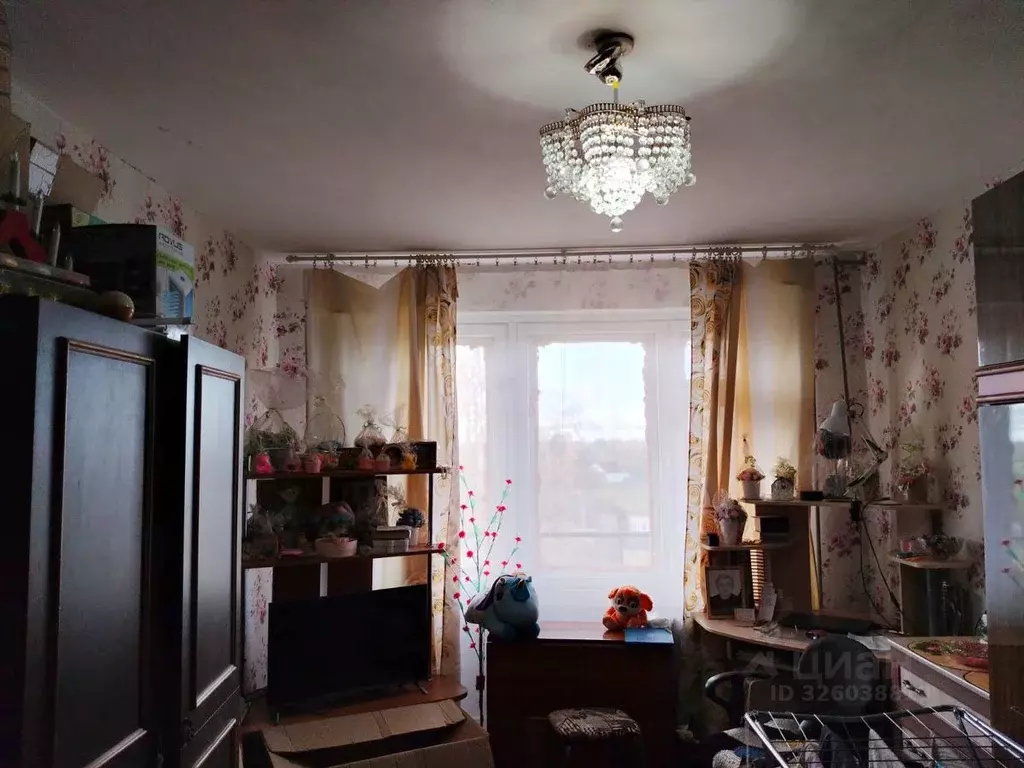 1-к кв. Ленинградская область, Лужский район, Володарское с/пос, пос. ... - Фото 1