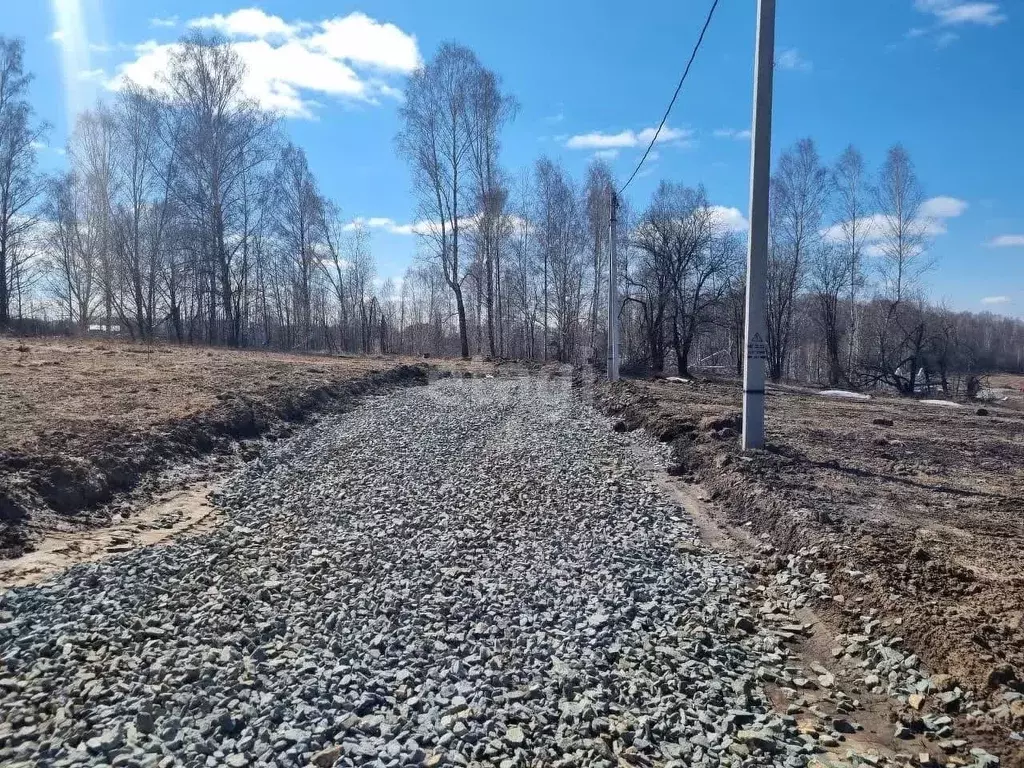 Участок в Новосибирская область, Новосибирский район, Раздольненский ... - Фото 1