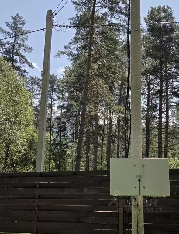 Дом в Алтай, Чемальский район, пос. Усть-Сема ул. Чуйская (35 м) - Фото 2