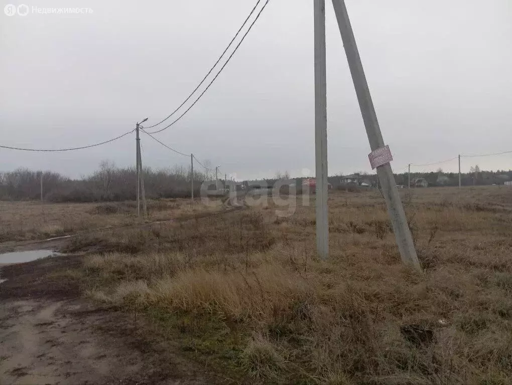 Участок в Хвощеватка, Васильковая улица (10 м) - Фото 1