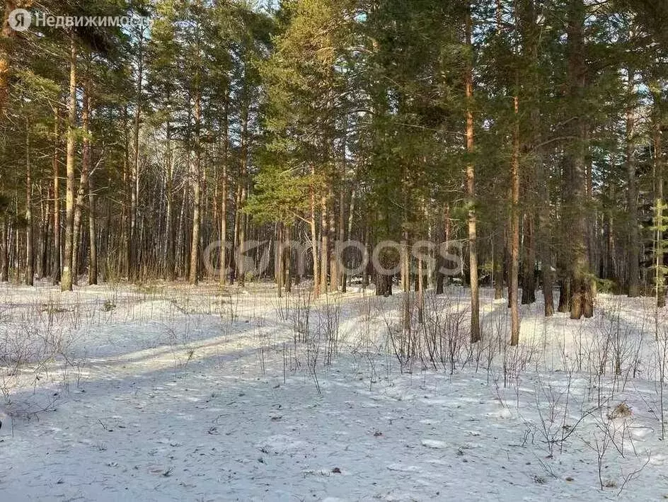 Участок в Тюменский район, деревня Ушакова (41 м) - Фото 1