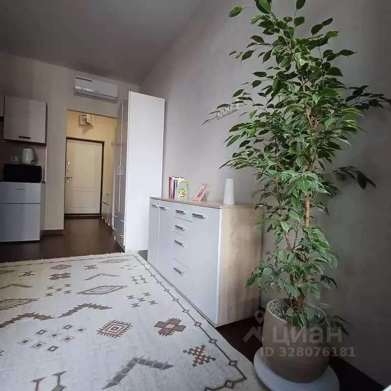 Студия Москва просп. Магеллана, 5 (24.0 м) - Фото 1