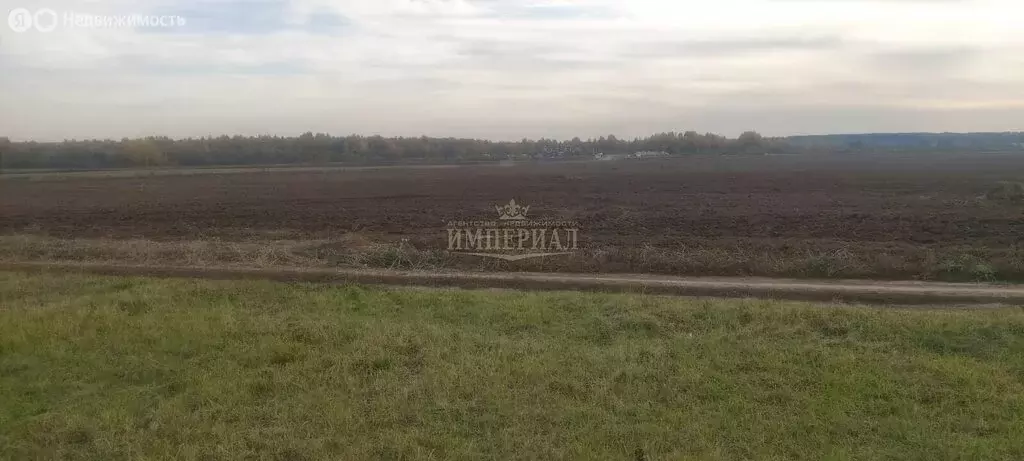 Участок в Медведевский район, Шойбулакское сельское поселение, село ... - Фото 0