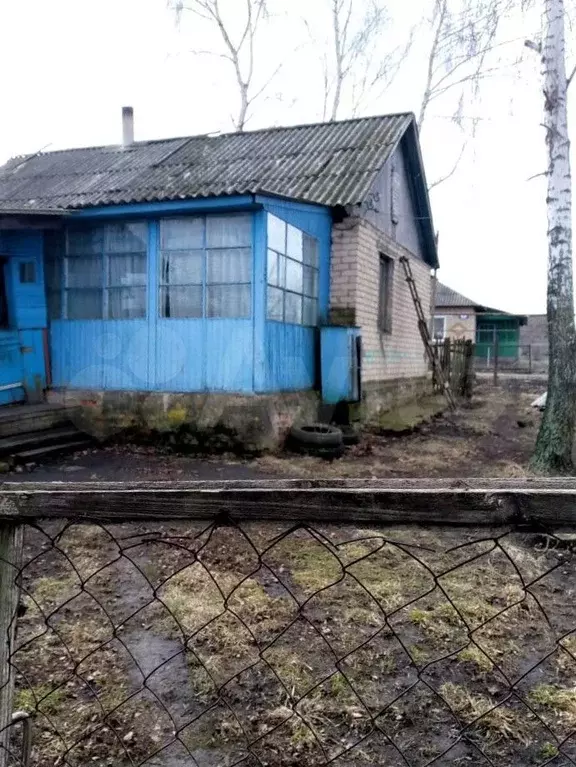 Дом 51,2 м на участке 3,7 сот. - Фото 1