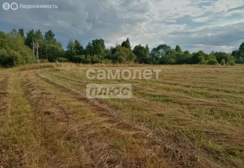 Участок в Ярославская область, Пошехонский муниципальный округ, ... - Фото 1