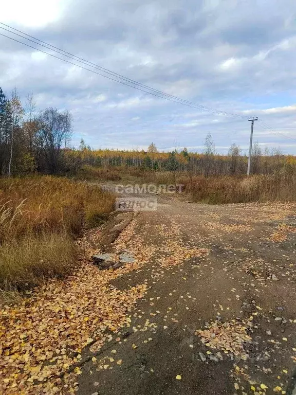 Участок в Татарстан, Зеленодольск Трудовик садовое товарищество,  (5.0 ... - Фото 1