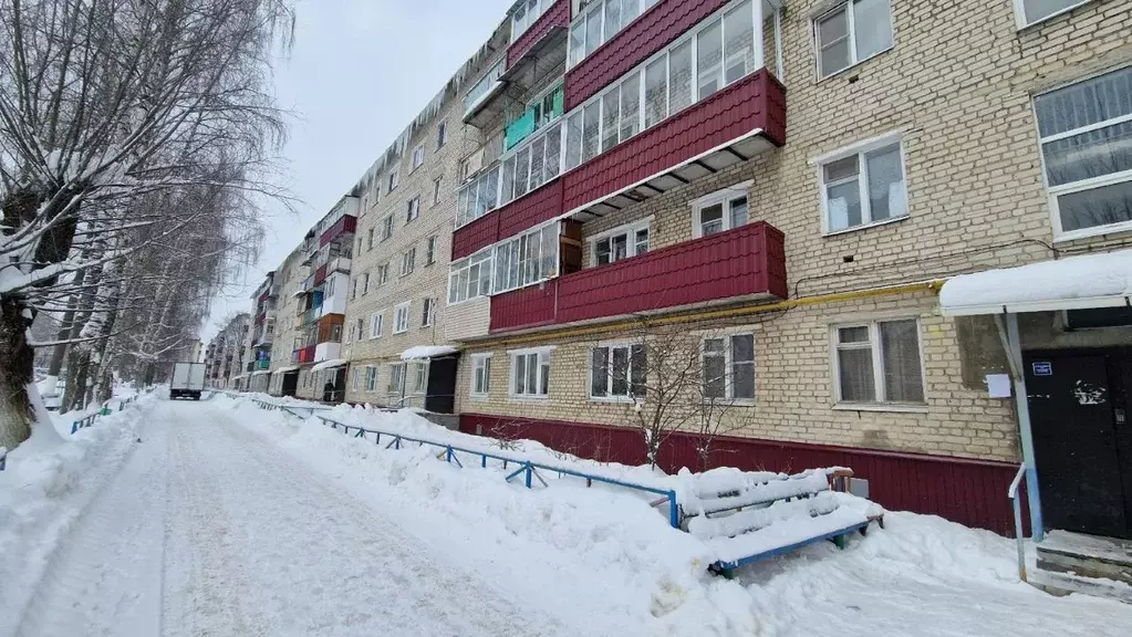 3-к кв. Нижегородская область, Кулебаки ул. 60 лет ВЛКСМ, 3 (52.3 м) - Фото 1