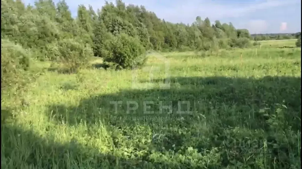 Участок в Ленинградская область, Всеволожский район, Куйвозовское ... - Фото 2