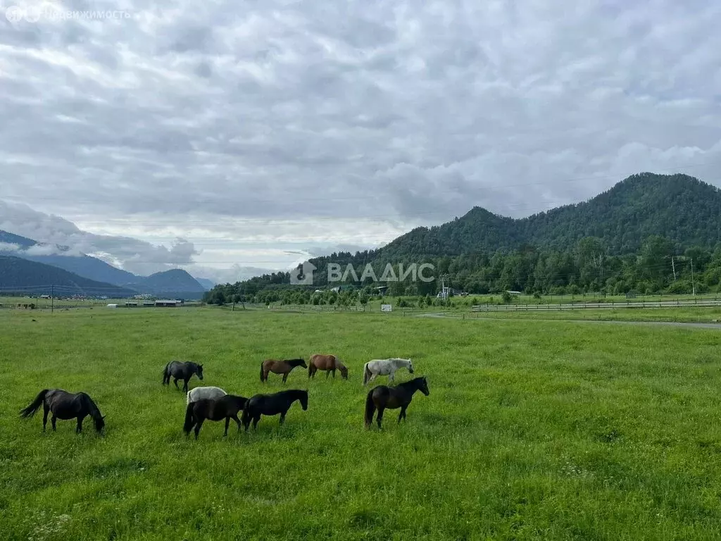 Участок в село Анос, Ясная улица (12.5 м) - Фото 1