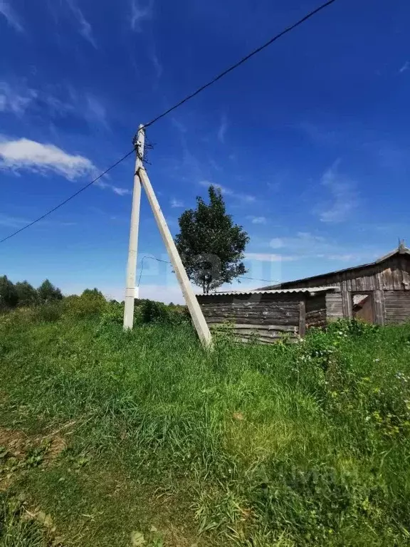 Участок в Алтайский край, Смоленский район, с. Смоленское ул. ... - Фото 0