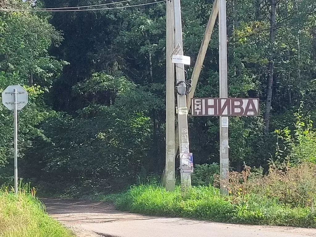 Участок в Калужская область, Боровский муниципальный округ, Кривское ... - Фото 2