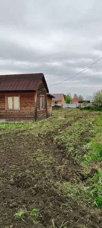Участок в Новосибирская область, Колыванский район, Надежда СТ ул. ... - Фото 1