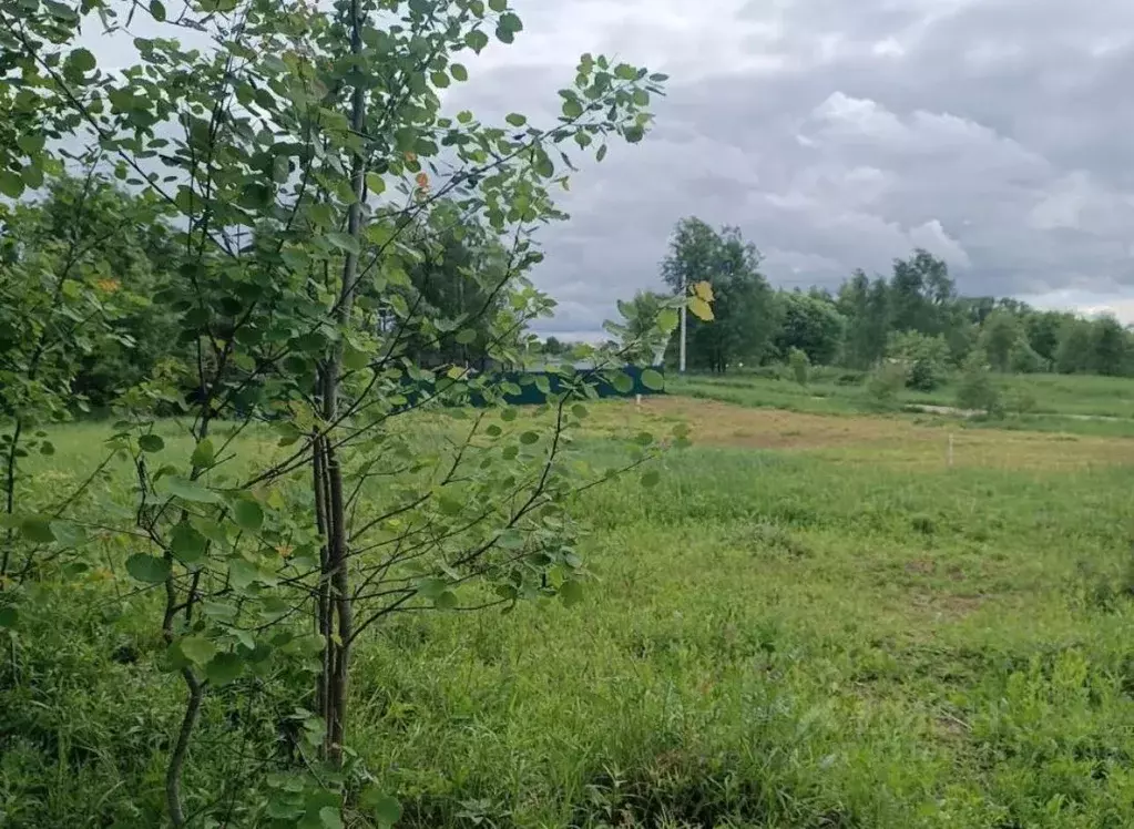 Участок в Московская область, Серпухов городской округ, д. Нефедово  ... - Фото 1
