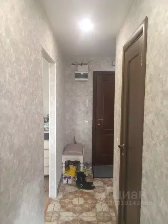 1-к кв. Санкт-Петербург ул. Костюшко, 44 (36.6 м) - Фото 1
