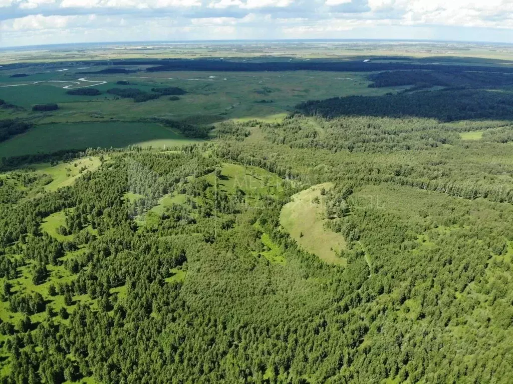 Участок в Тюменская область, Тюменский район, д. Елань  (11.2 сот.) - Фото 0