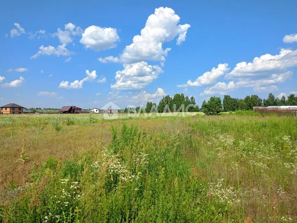 Участок в Владимирская область, Суздальский район, Боголюбовское ... - Фото 0