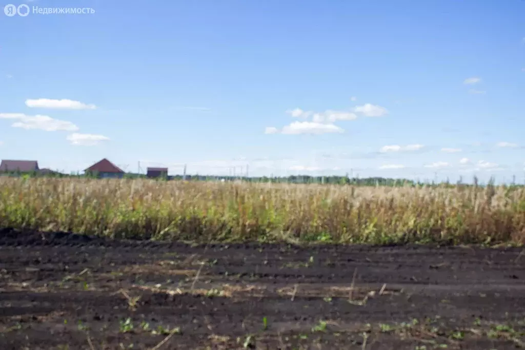 Участок в Заводоуковск, улица Зота Тоболкина (9.4 м) - Фото 2