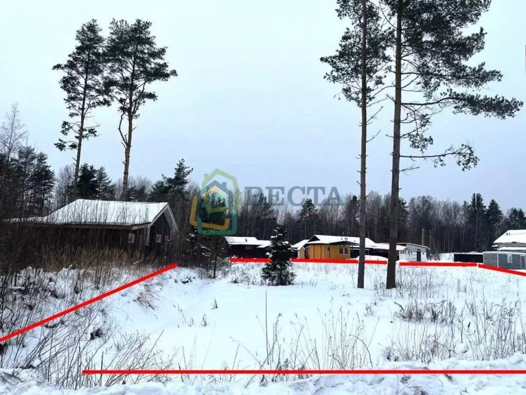 Участок в Ленинградская область, Выборгский район, Полянское с/пос, ... - Фото 2