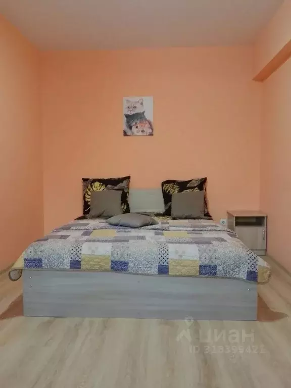 Студия Иркутская область, Иркутск ул. Полины Осипенко, 13 (30.0 м) - Фото 2