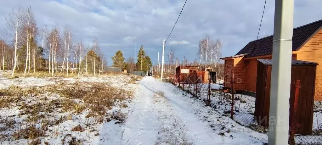 Участок в Тюменская область, Нижнетавдинский муниципальный округ, ... - Фото 1