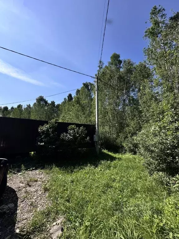 Участок в Тверская область, Калининский муниципальный округ, с. ... - Фото 2