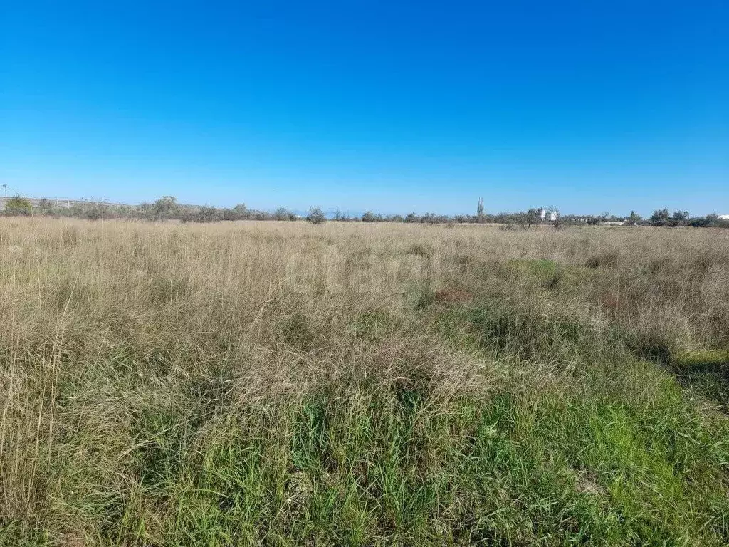 Участок в Крым, Ленинский район, Калиновское с/пос, Акташ-Кетен СТ, 2 ... - Фото 1