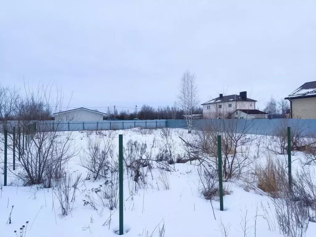 Участок в Воронежская область, Новоусманский район, с. Бабяково ул. ... - Фото 0