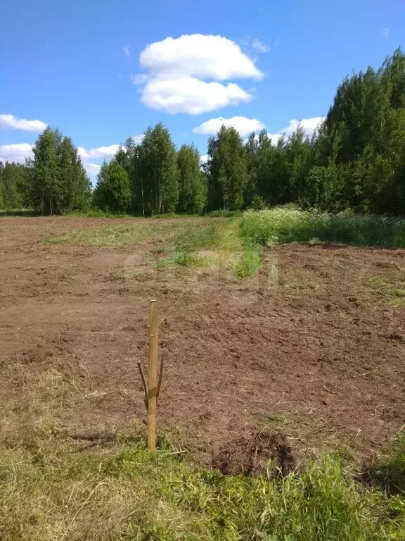 Участок в Вологодская область, Кирилловский муниципальный округ, д. ... - Фото 1
