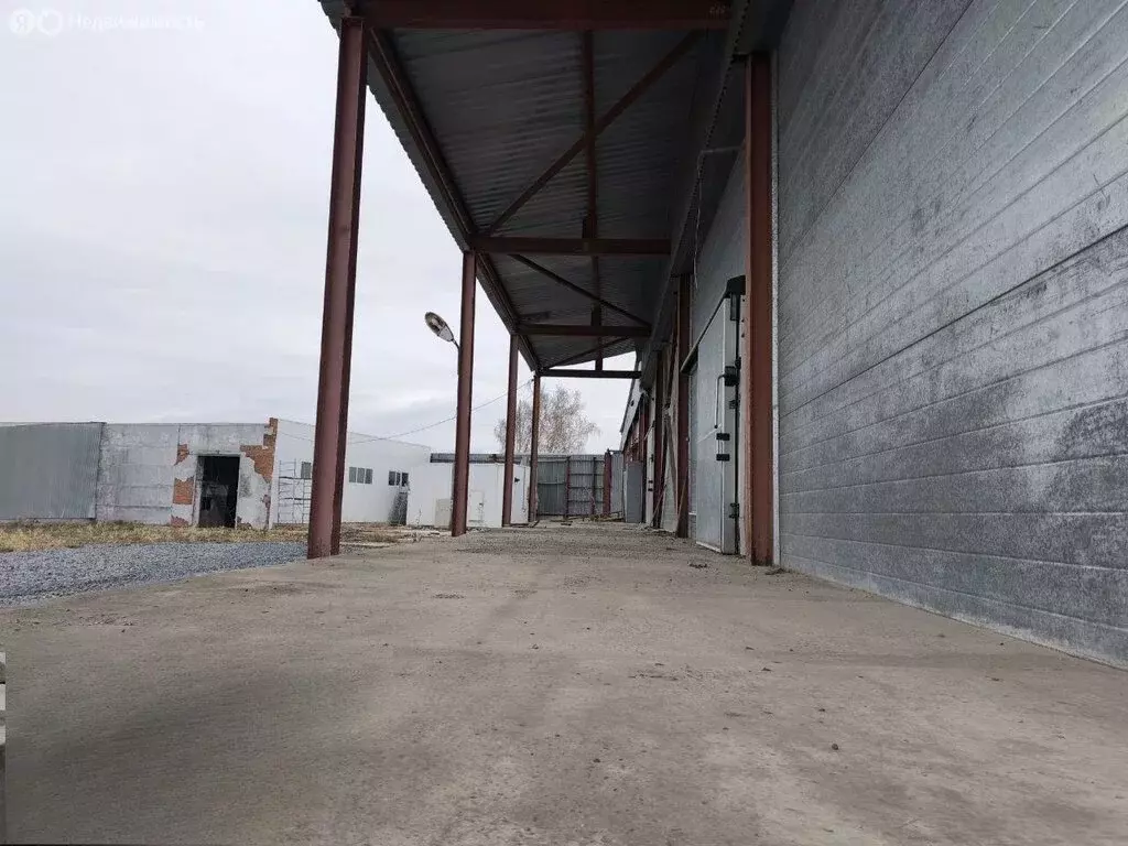 Склад (925 м) - Фото 1