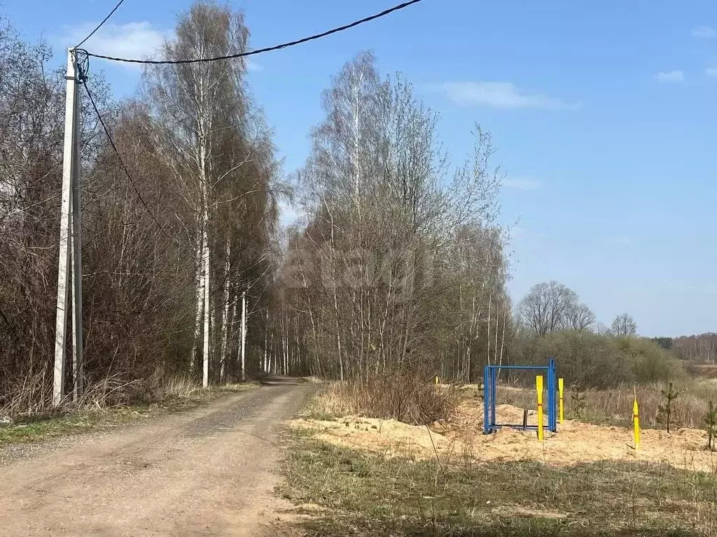 Участок в Ярославская область, Некрасовский муниципальный округ, д. ... - Фото 0